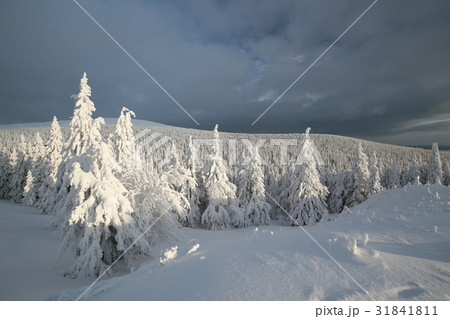 Winter landscape, Sudetenland in Czech Republic 31841811
