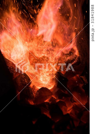 火花 火花 31841988