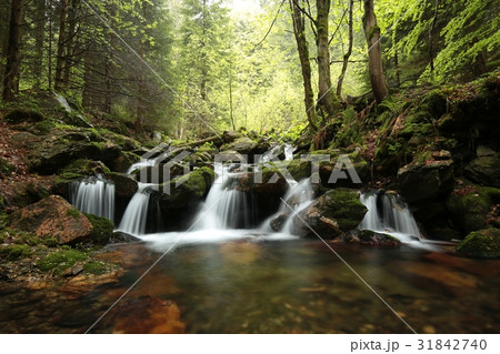 Forest stream flowing from the mountains 31842740