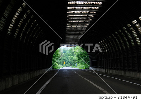 トンネルの向こうは緑の森 トンネルの向こうは緑の森 31844791
