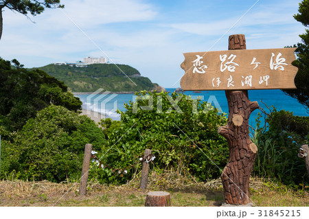 [愛知県]　伊良湖岬　恋路ヶ浜　青空 31845215