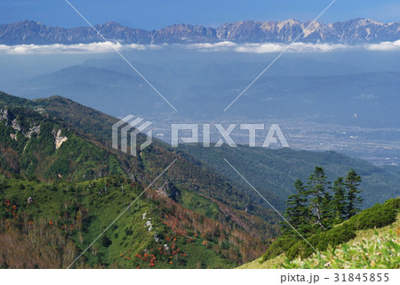 山田峠より北アルプスをのぞむ 31845855