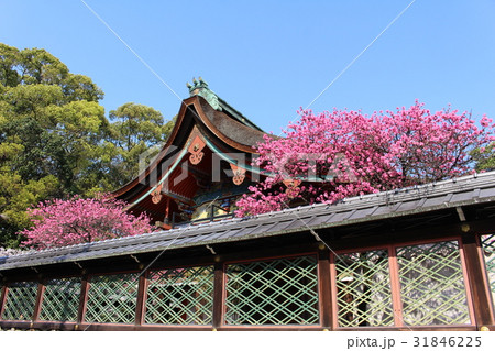 御香宮神社 31846225