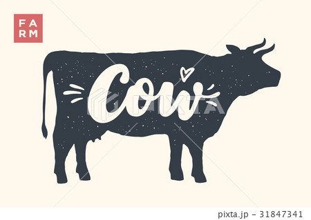 Isolated cow silhouette with lettering 31847341