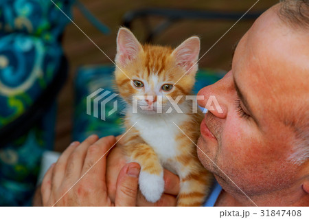 Men's hands and little kitty 31847408