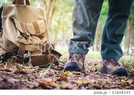 Hikers boots on forest trail Hikers boots on forest trail 31848545