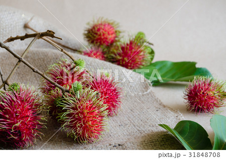 Fresh Rambutan A Tropical Fruit. Fresh Rambutan A Tropical Fruit. 31848708