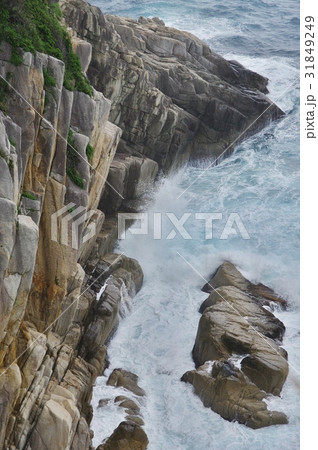 足摺岬の奇岩 足摺岬の奇岩 31849249