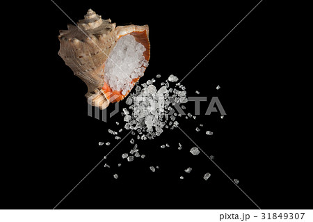Shell and sea salt 31849307