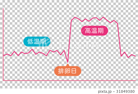 基礎体温イメージ 基礎体温表 基礎体温イメージ 基礎体温表 31849380