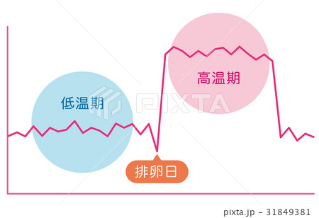 基礎体温イメージ 基礎体温表 基礎体温イメージ 基礎体温表 31849381