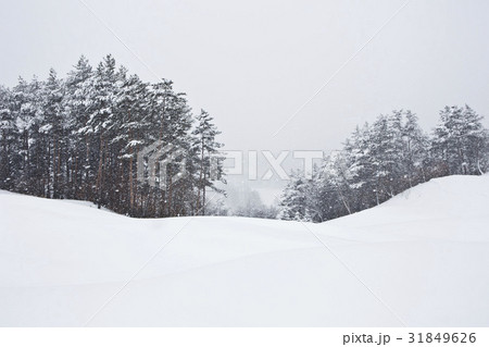 江原道 大関嶺 平昌郡 31849626
