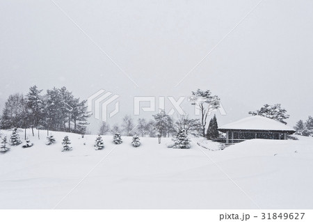 江原道 ゴルフ場 平昌郡 31849627