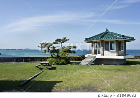 建築 海 芝生 31849632