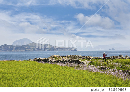 加波 海 済州島 31849663