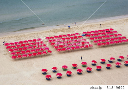 海 釜山 パラソル 31849692