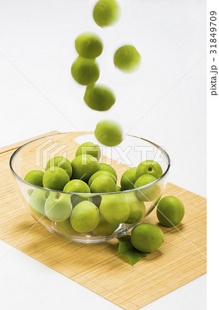 梅 モーション ガラスボール 31849709