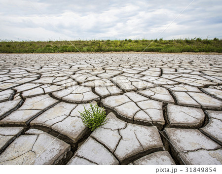 干ばつ 割れ 永宗島 31849854
