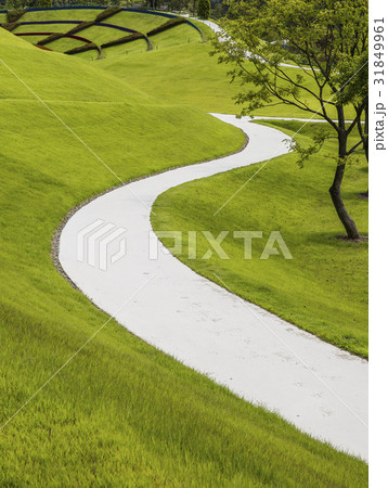 道路 順天湾庭園 順天市 31849961