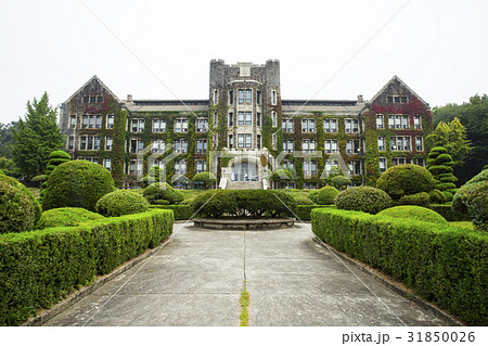 大学 延世大 風景 31850026