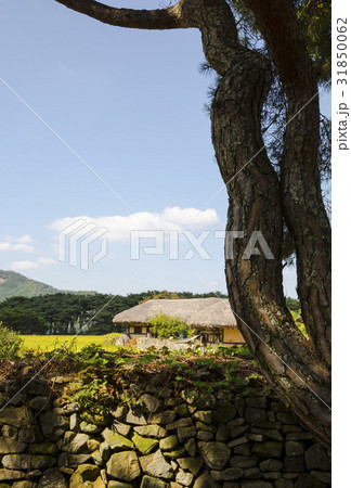 松 ウェアム民俗村 丸屋 31850062