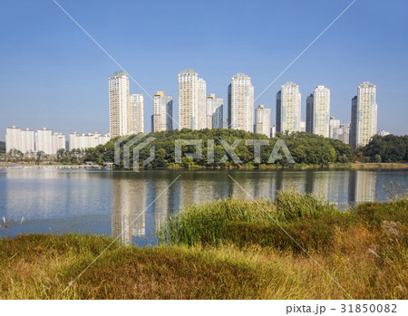 広橋新都市 広橋湖公園 水原市 31850082