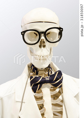 蝶ネクタイ ボータイ 頭の骨 31850097