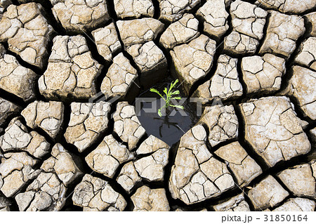 干ばつ 割れ 地 31850164