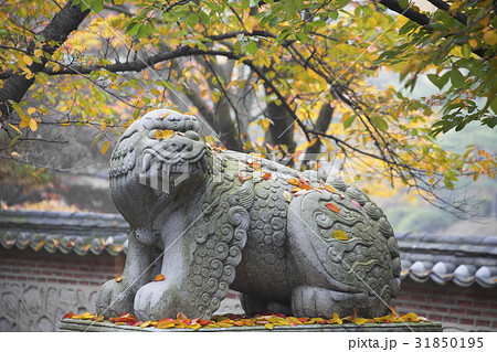 京畿道 キョンギド 龍仁市 31850195