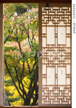ドア 組子 オープン 31850202
