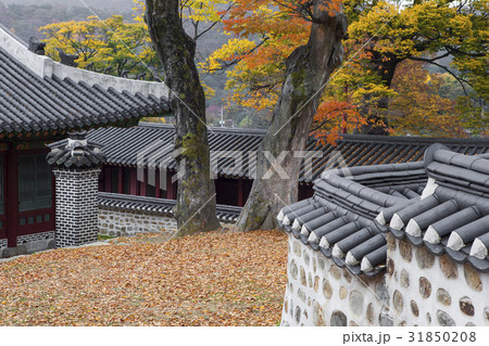 京畿道 キョンギド 南漢山城 31850208