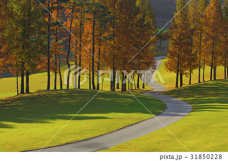 秋 京畿道 キョンギド 31850228