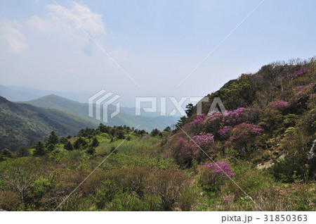 慶南 セソク評伝 智異山 31850363