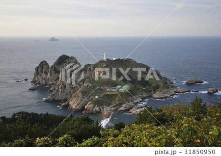 慶南 灯台島 ソメムルも 31850950