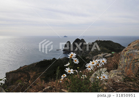 慶南 南グジョルチョ 灯台島 31850951