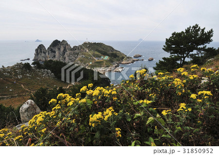 灯台島 ソメムルも 統営市 31850952