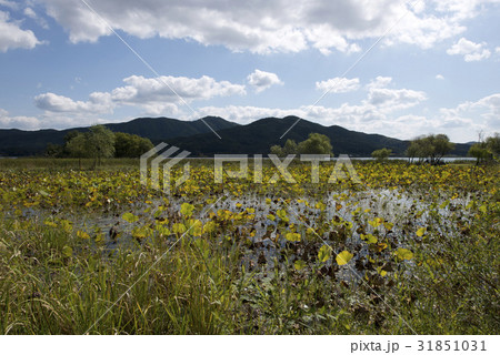 京畿道 キョンギド 山 31851031