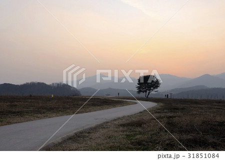 京畿道 キョンギド 夕焼け 31851084