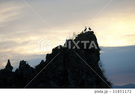 丹陽八景 嶋潭三峰 白鷺 31851172