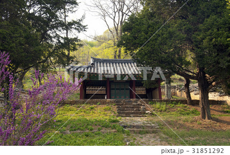 江原道 古建築 ヨウンモ前 31851292