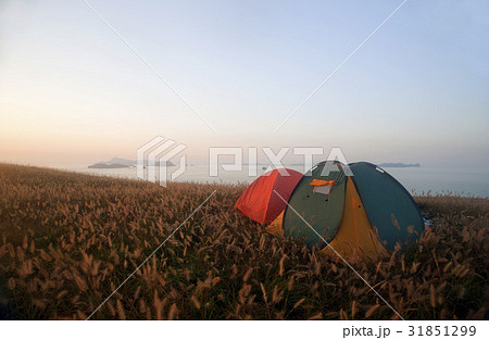 グルオプド 甕津郡 仁川 31851299