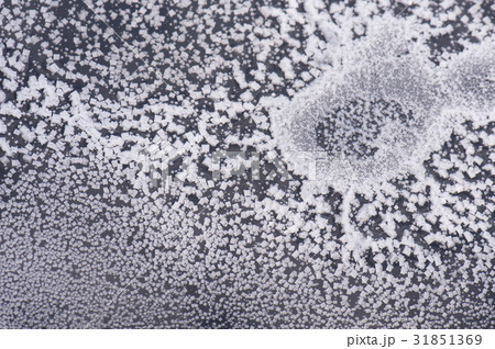 決定 塩 画像 31851369
