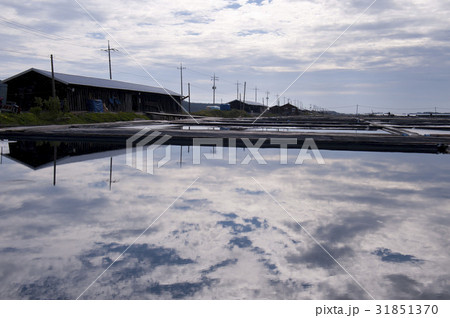 新安郡 全羅南道 証 31851370