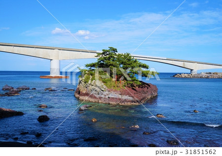 真鶴岩海岸と真鶴°道路 31851562