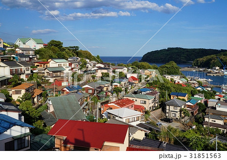 真鶴港を見下ろす町並み 31851563