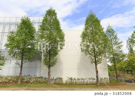 建築 木 坡州市 31852008