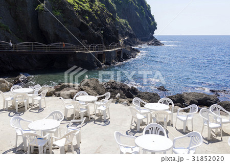 慶北 島 鬱陵郡 31852020