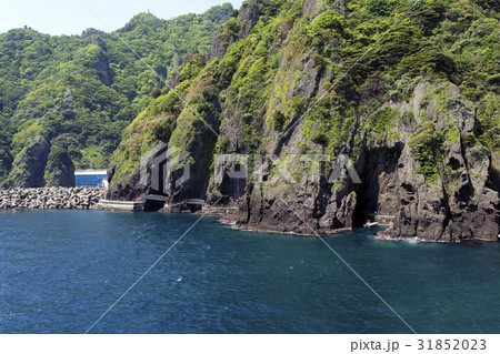 慶北 島 鬱陵郡 31852023