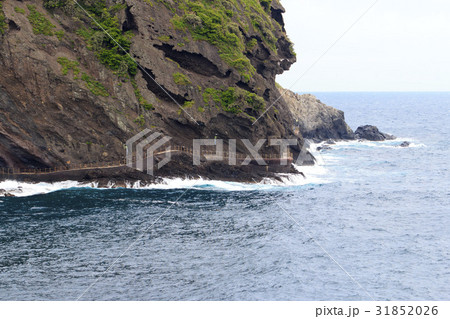 海 島 自然 31852026