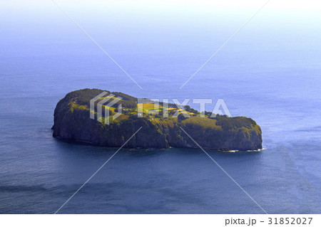 海 島 鬱陵郡 31852027